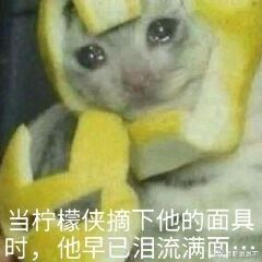 流泪小猫表情包